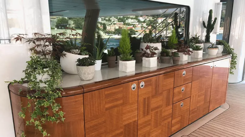 Cacti, succulents and outdoor plants on superyacht aft deck