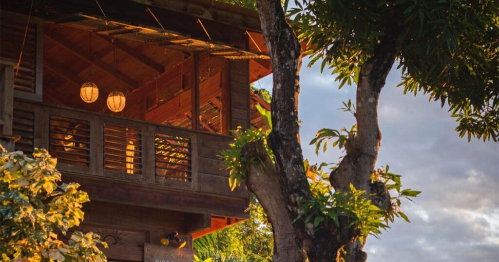 Castara Retreats treehouse in Tobago