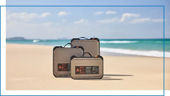 Fliteboard batteries