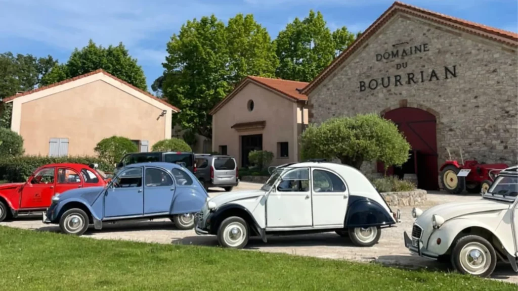Beyond The Wine curated wine tours credit @beyondthewine