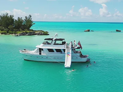 Hanger Mini Yacht Slides